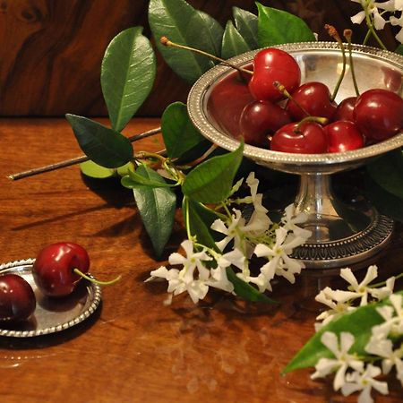 Casa Ardizzoni Otel Bolonya Dış mekan fotoğraf