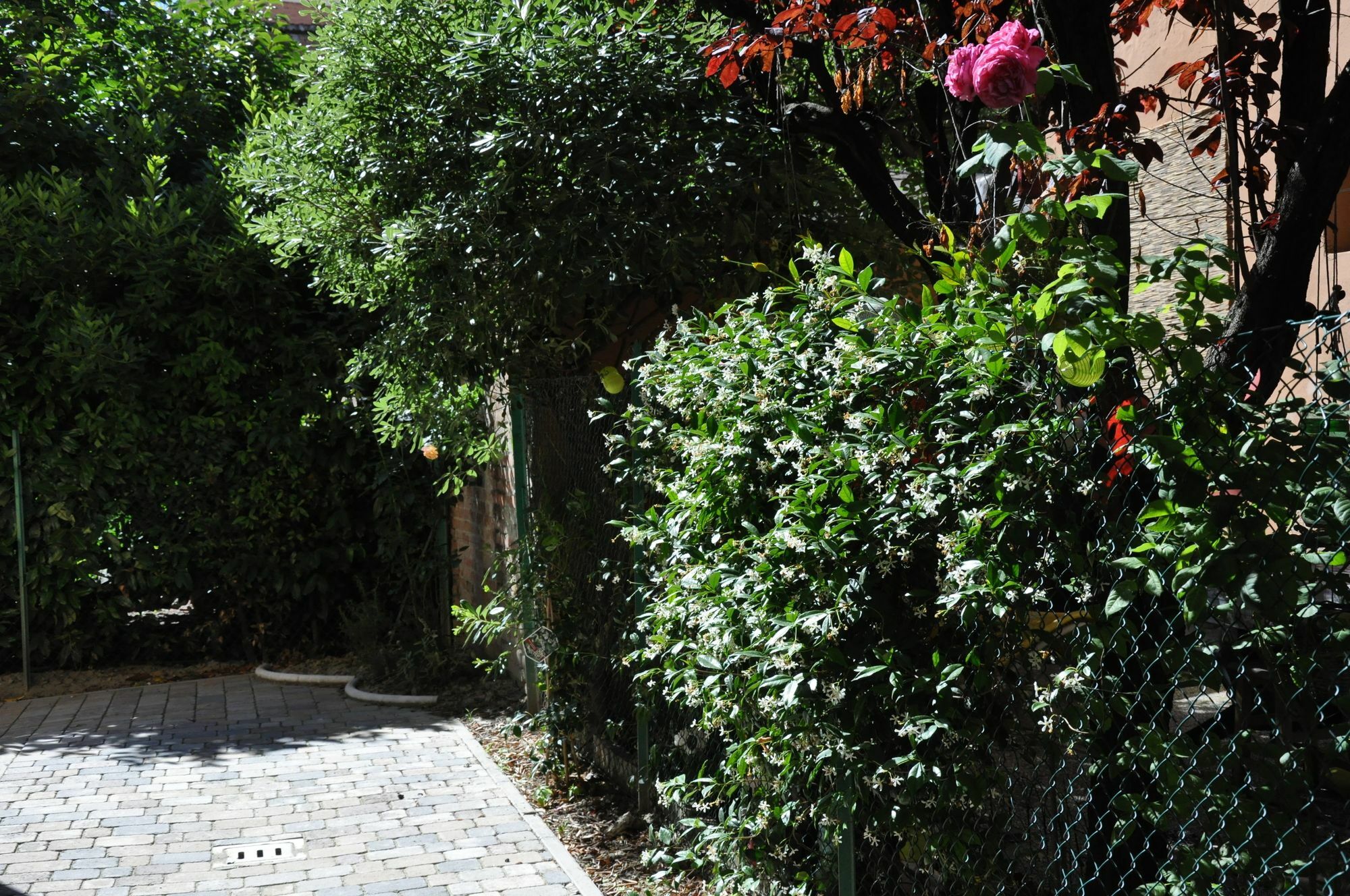 Casa Ardizzoni Otel Bolonya Dış mekan fotoğraf